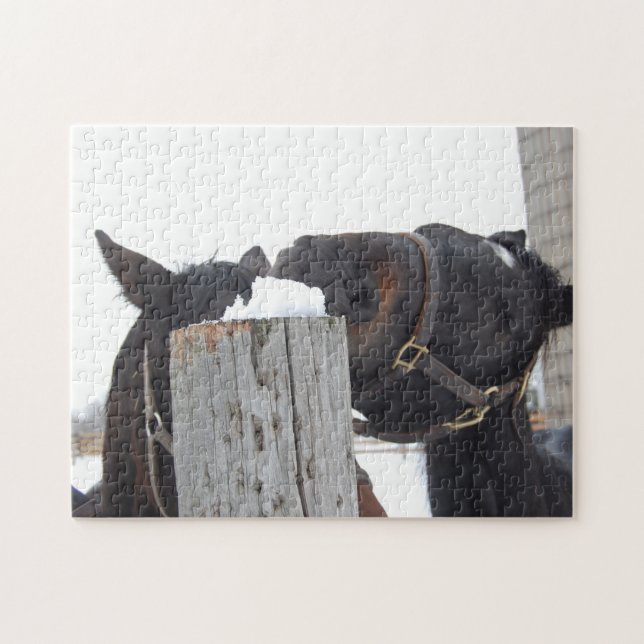2 Horses Chewing on a Fence Jigsaw Puzzle (Horizontal)
