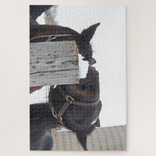 2 horses chewing on a Fence Post Jigsaw Puzzle