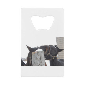 2 Horses chewing on a Snowy Fence