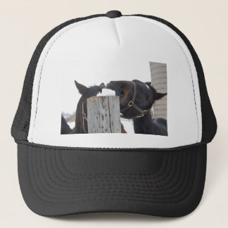 2 Horses chewing on a Snowy Fence Trucker Hat