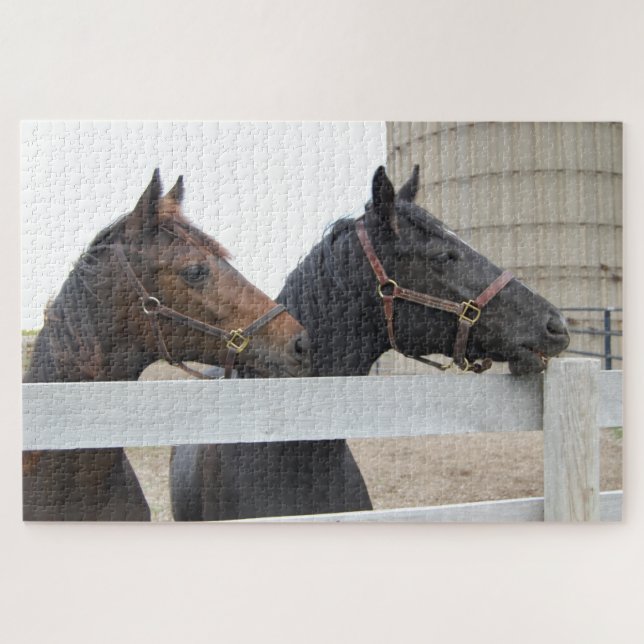 2 Horses looking over the fence Jigsaw Puzzle (Horizontal)