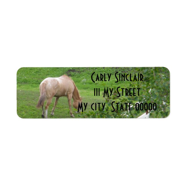 2 Horses Return Address Label (Front)