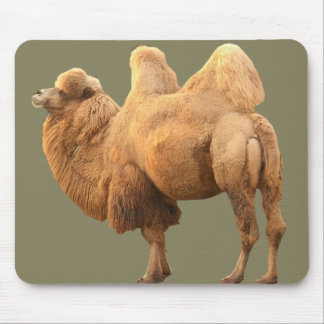 2 HUMP CAMEL MOUSE PAD