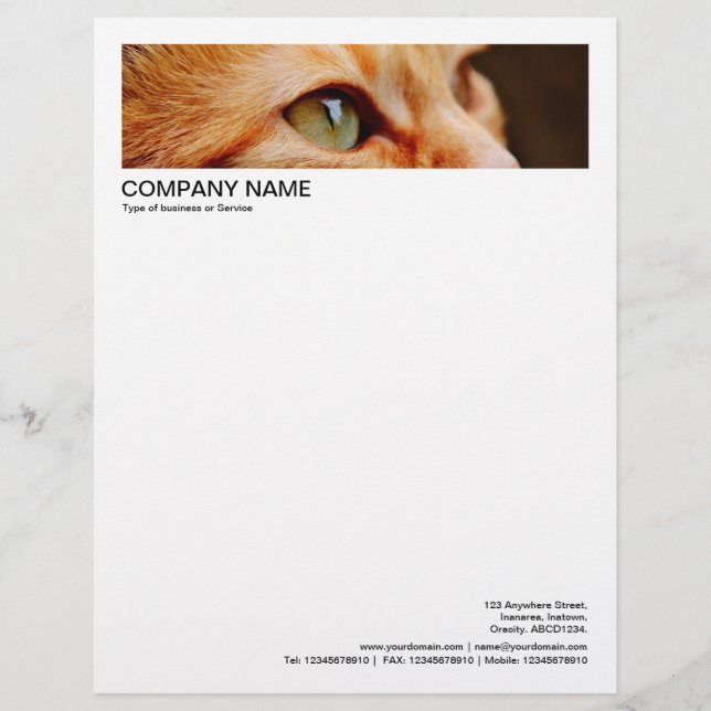 2 in Header 1/2 Inch Border - Cat Custom Letterhead (Front)
