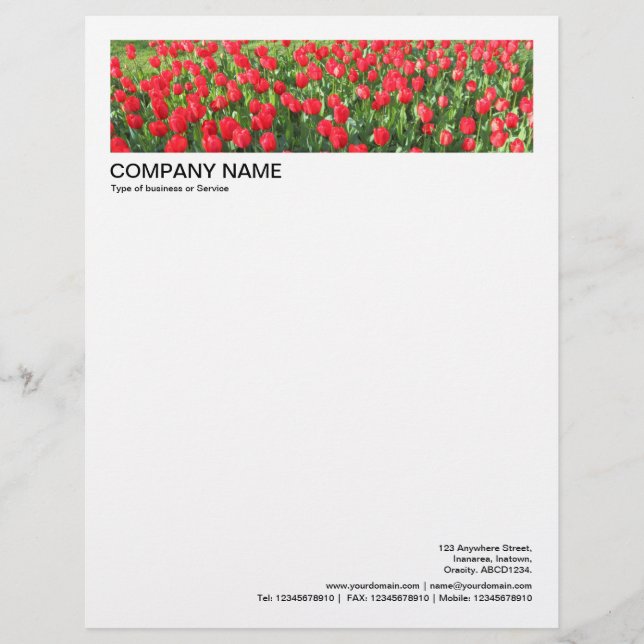 2 in Header 1/2 Inch Border - Red Tulips Custom Letterhead (Front)