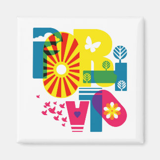 2 Inch Square Magnet