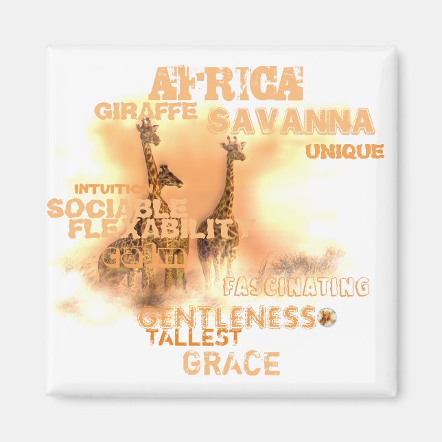 2 Inch Square Unique Giraffes Magnet (Front)