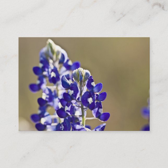 2 is better than one business card (Front)