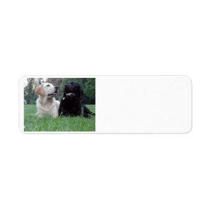 2 labs.png return address label