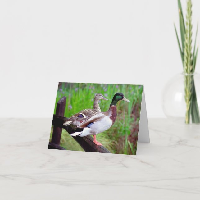 2 Mallards On a Fence Note Card (Front)