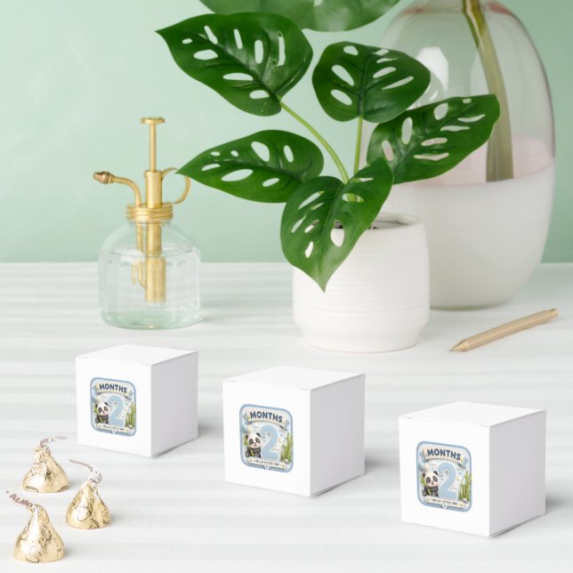 2 Month Baby Milestone World Adventure Favour Box (Multiple)