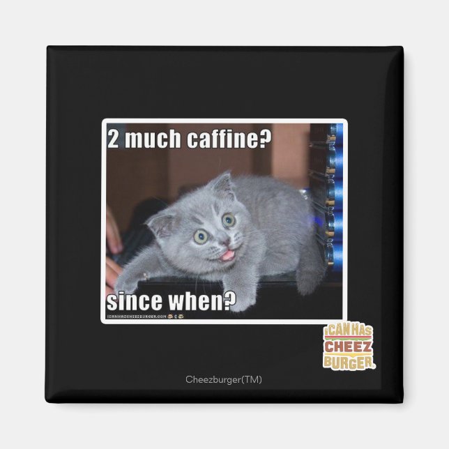 2 much caffine? magnet (Front)