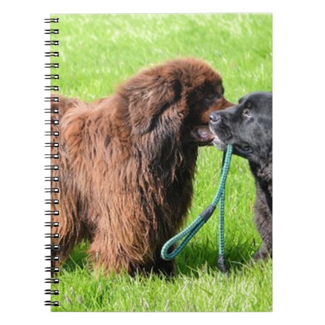 2 newfies.png notebook (Front)