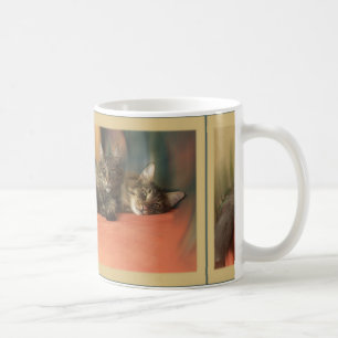 2 norwegian forest cats laying coffee mug