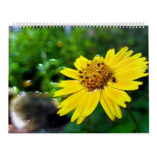 2 page, large white calendar