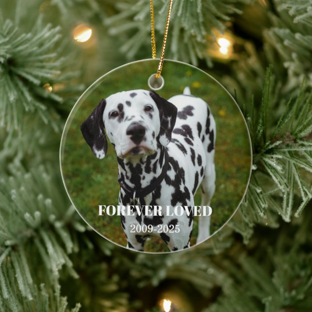 2 Pet Photo & Free Text Personalized Memorial Ceramic Ornament (Tree)