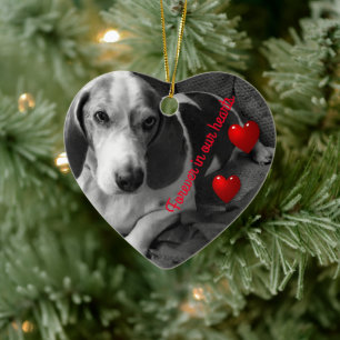 2 Pet photo memory ornament