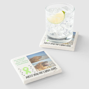 2 Pet Photo Tribute with Awareness Ribbon Stone Coaster