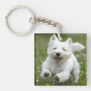 2 Pet Photos Keychain Gift Dog or Puppy Mum
