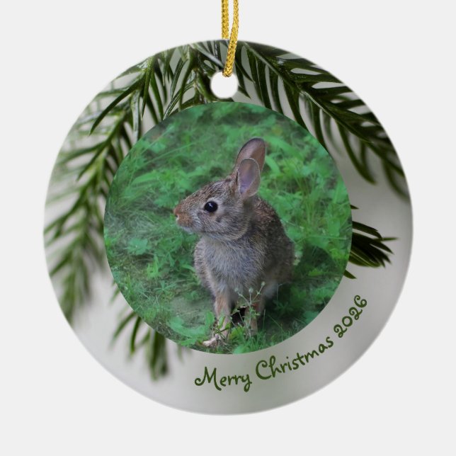 2 Photo Front & Back Evergreen Christmas Ornament (Front)