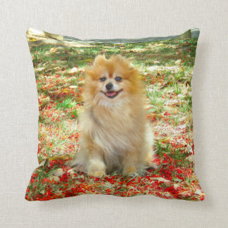 2 Photos Cute Pomeranian dog red flowers Cushion