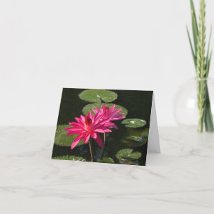 2 pink water lilies greeting card #1 7711