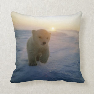 #2-Polar Bear Cub Cushion