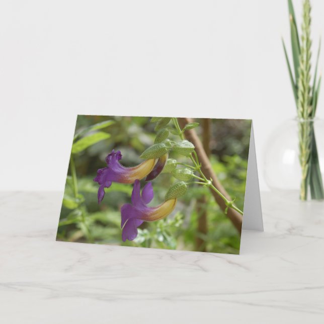 2 purple flowers card (Front)