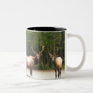 2 Rocky Mountain Elk Two-Tone Coffee Mug