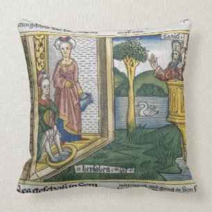 2 Samuel 11 1-5 David sees Bathsheba bathing, from Cushion