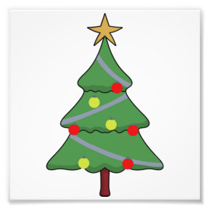 2 Shiny Brite Balls 221 Photo Print