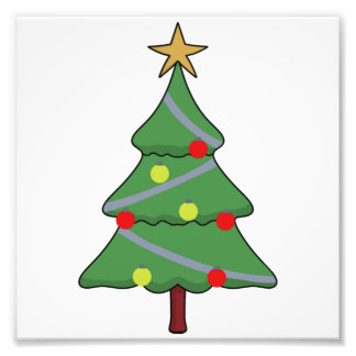 2 Shiny Brite Balls 221 Photo Print