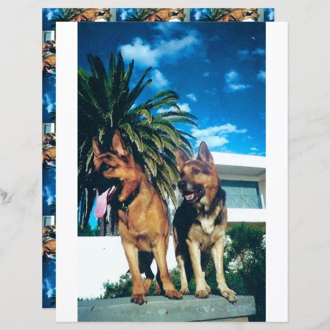 2 sided german shepherd group scrapbook (Front/Back)