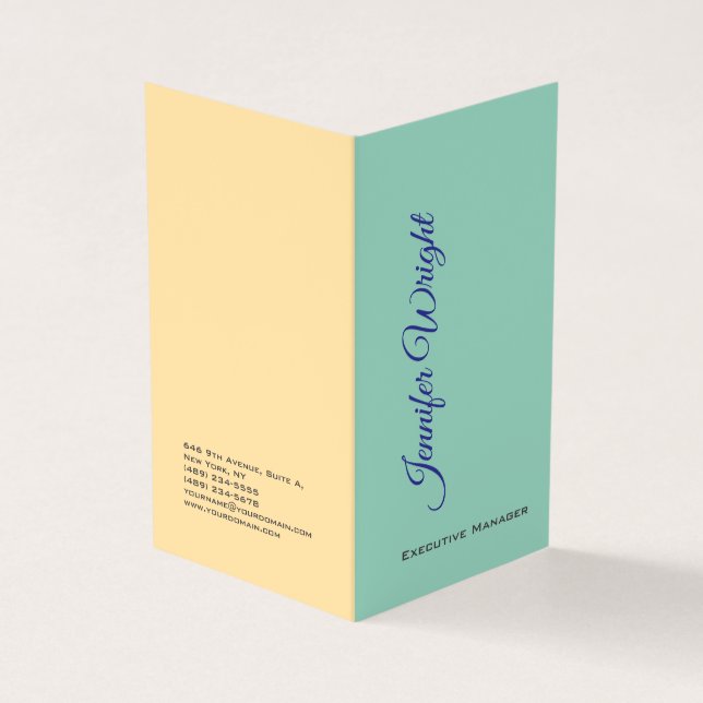2 sided minimalist unique modern teal beige plain business card (Outside)
