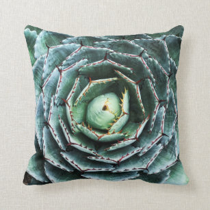 Succulent Cushions - Decorative & Throw Cushions | Zazzle AU