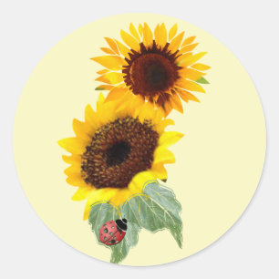 2 Sunflowers & a Lady bug: Classic Round Sticker