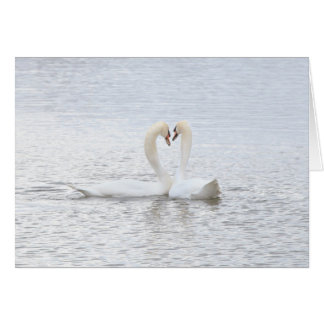 2 swans form a heart