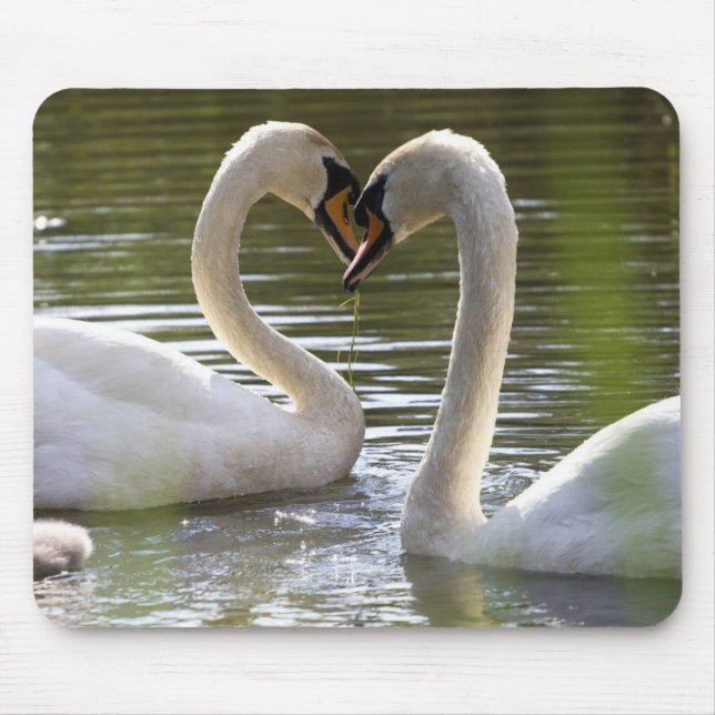 2 Swans on the Water Mouse Pad (Front)