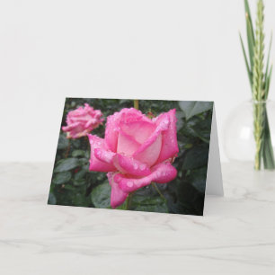 2-Tone Pink Rose Card