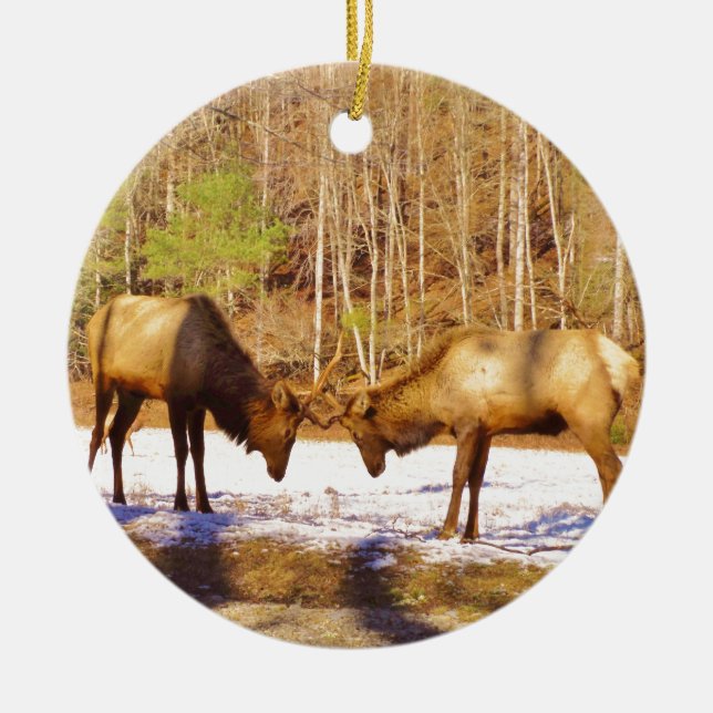 2~ two Bull Elk in the snow Ceramic Ornament (Front)