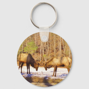 2~ two Bull Elk in the snow Key Ring