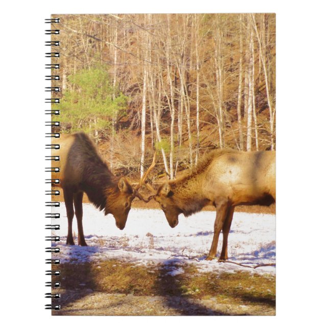 2~ two Bull Elk in the snow Notebook (Front)