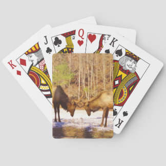 2~ two Bull Elk in the snow Playing Cards