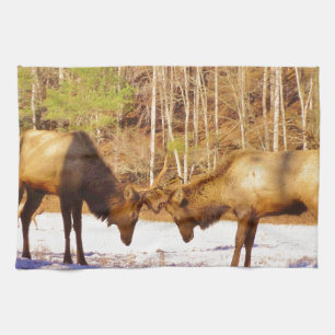 2~ two Bull Elk in the snow Tea Towel