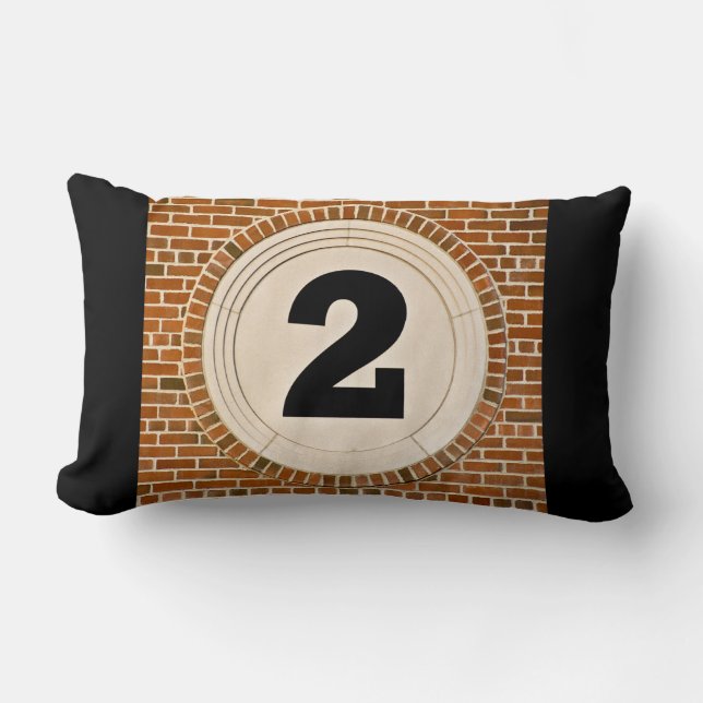 2 Two Too Much? Lumbar Cushion (Front)