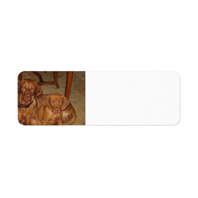 2 vizslas return address label (Front)