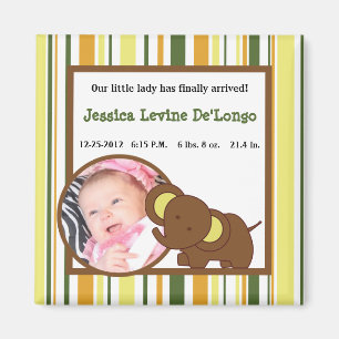 2"x2" Announcement Magnet Jungle Babies Animals
