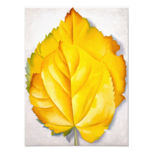 2 Yellow Leaves   Georgia O'Keeffe   Photo Print