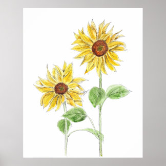 2 yellow sunflowers ink and watercolor poster
