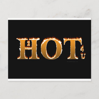 2hot4uFlamingText Postcard